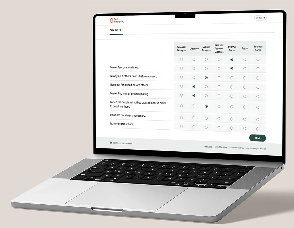 test partnership soft skills test